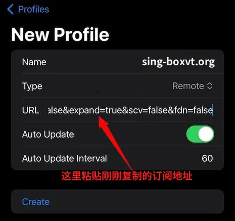 Sing Box for ios2