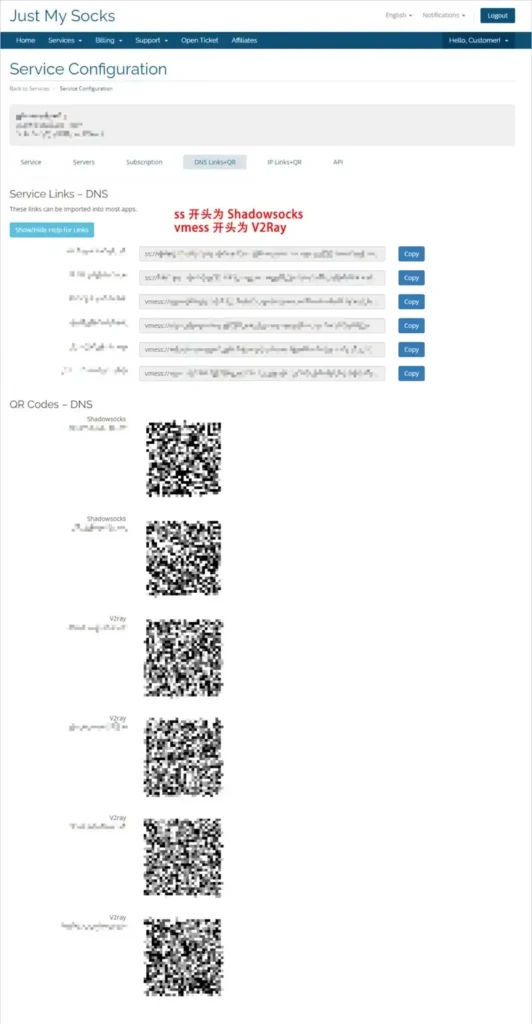 justmysocks services dnslink qrcode