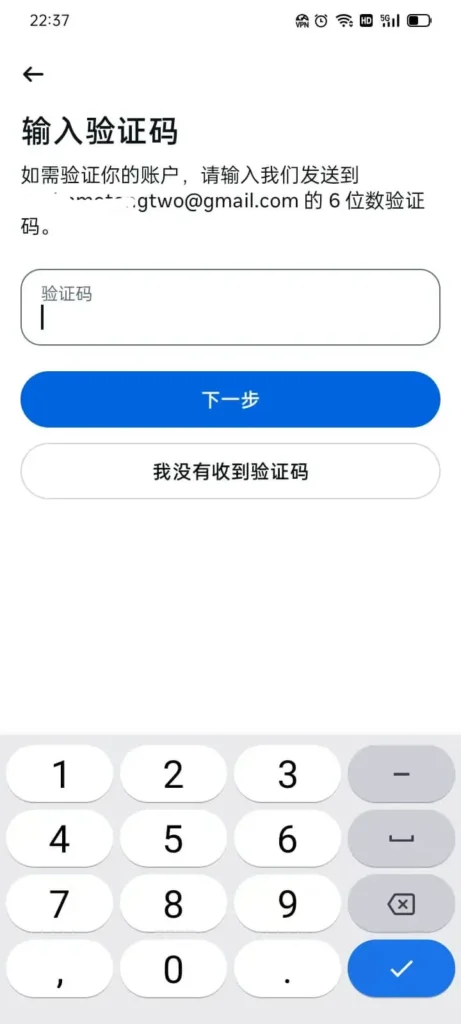 输入邮箱收到的ins验证码